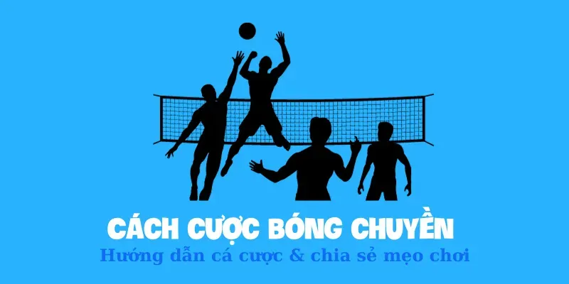 Hướng dẫn tham gia cược bóng chuyền