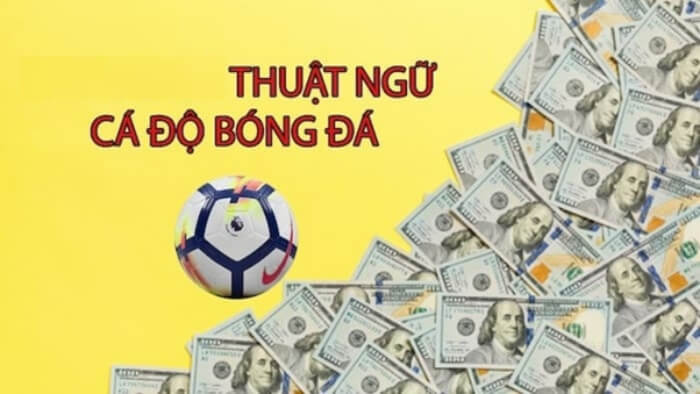 Thuật ngữ cá độ trong bóng đá
