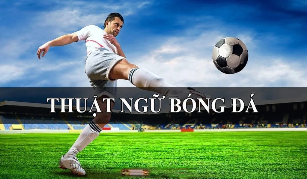 Hiểu rõ những thuật ngữ là vô cùng quan trọng