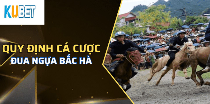 Cách cá cược Đua Ngựa Bắc Hà Kubet  hiệu quả