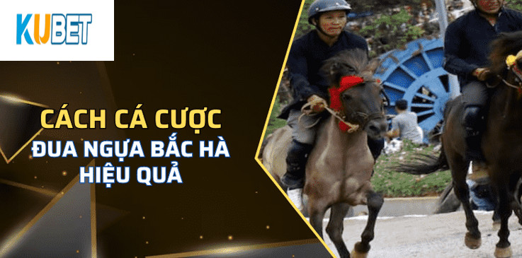 Một số quy định khi tham gia Đua Ngựa Bắc Hà Kubet 