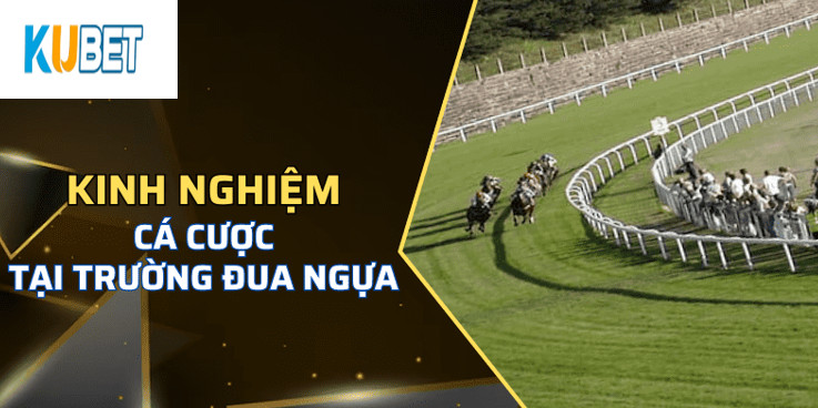 Kinh nghiệm cá cược Trường Đua Ngựa Kubet 