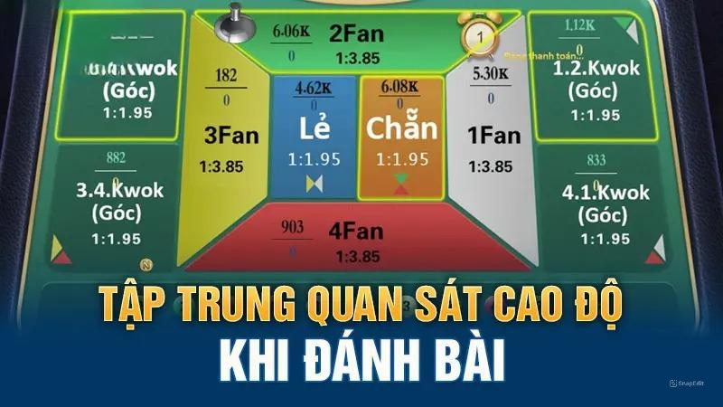 Tập trung quan sát cao độ khi đánh bài