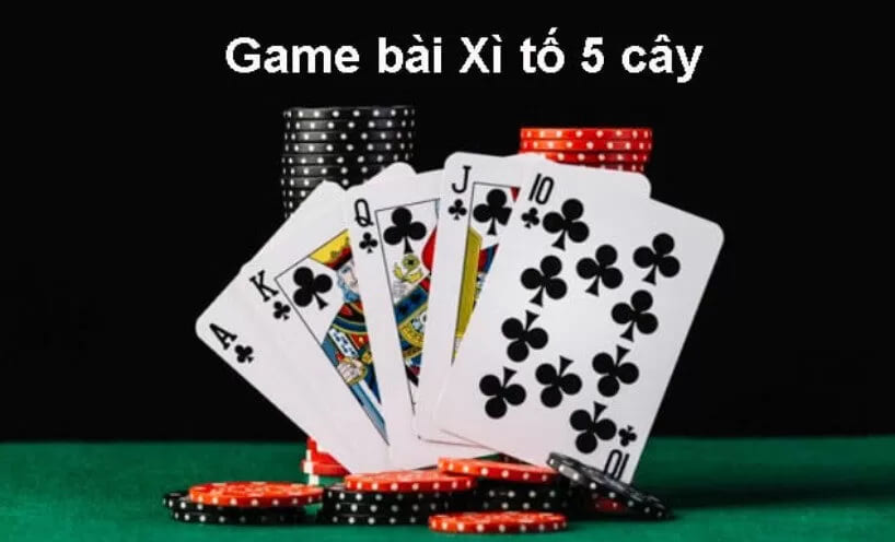 Các thuật ngữ thường gặp trong xì tố Kubet