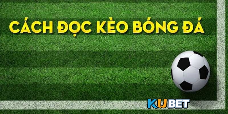 Người chơi cần biết cách đọc kèo trước khi tham gia cá cược