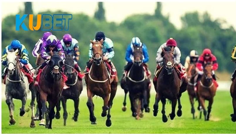 Cách cá cược đua ngựa hiệu quả