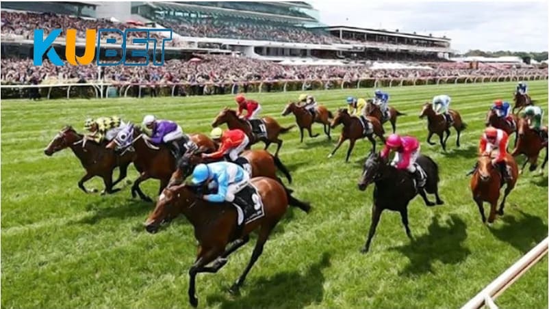 Những lợi ích khi cá cược đua ngựa