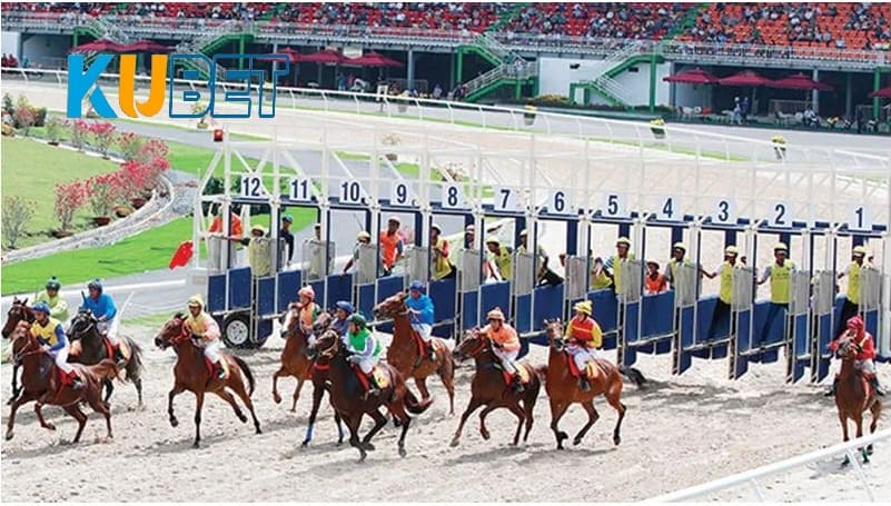 Tìm hiểu về các loại cá cược đua ngựa