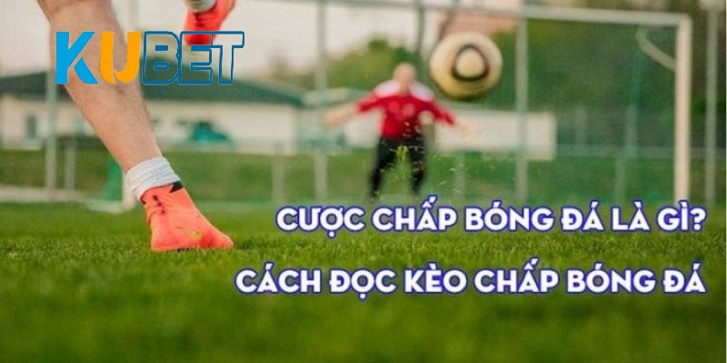 Cược chấp là gì?
